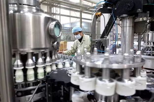 食品生产中嗜热菌与超嗜热菌的微生物防控及粮保器材的关键支撑作用